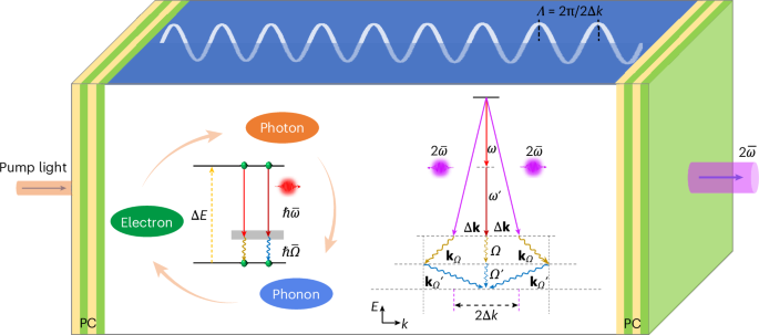 Electron‒phonon‒photon excitation in steady nonlinear lasing