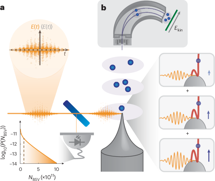 Quantum light drives electrons strongly at metal needle tips