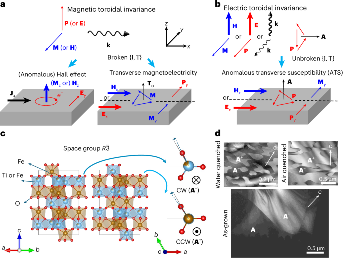 Electric toroidal invariance generates distinct transverse electromagnetic responses