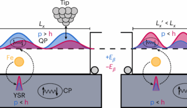 Non-local detection of coherent Yu–Shiba–Rusinov quantum projections