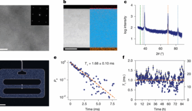 Millisecond lifetimes and coherence times in 2D transmon qubits