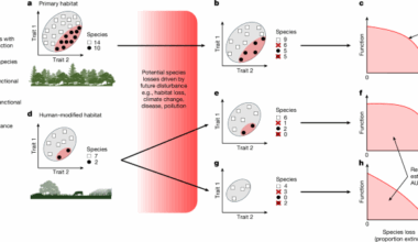 Land-use change undermines the stability of avian functional diversity