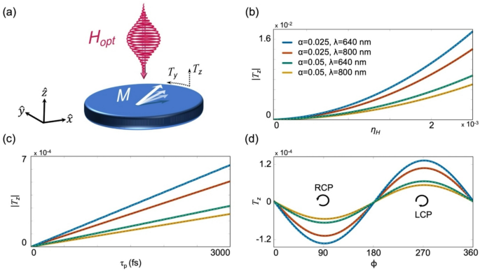 Faraday effects emerging from the optical magnetic field
