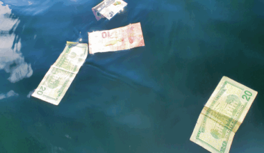 Natural carbon uptake by ocean biology will not deliver credible carbon credits