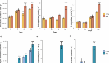 Bioplastics spark viral activity, reshape microbiomes and accelerate organic matter degradation in the marine environment