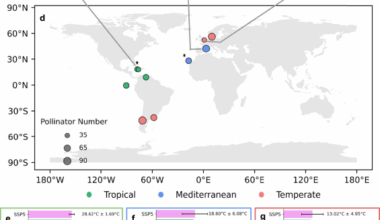 Warming demands extensive tropical but minimal temperate management in plant-pollinator networks