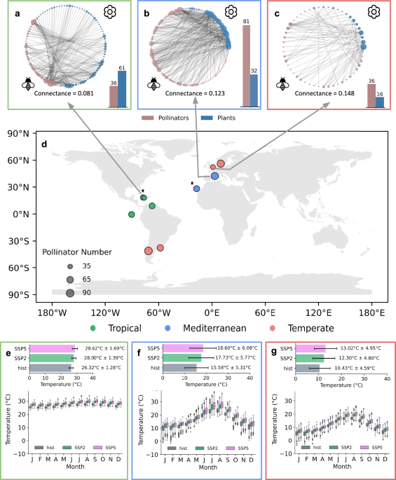 Warming demands extensive tropical but minimal temperate management in plant-pollinator networks