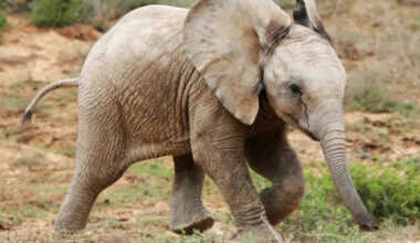 Yahoo lifestyle home