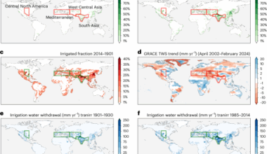 Irrigation-induced land water depletion aggravated by climate change