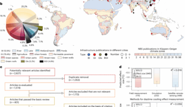 Urban cooling and energy-saving effects of nature-based solutions across types and scales