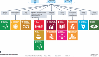 Building on monitoring and conservation policies for global soil biodiversity