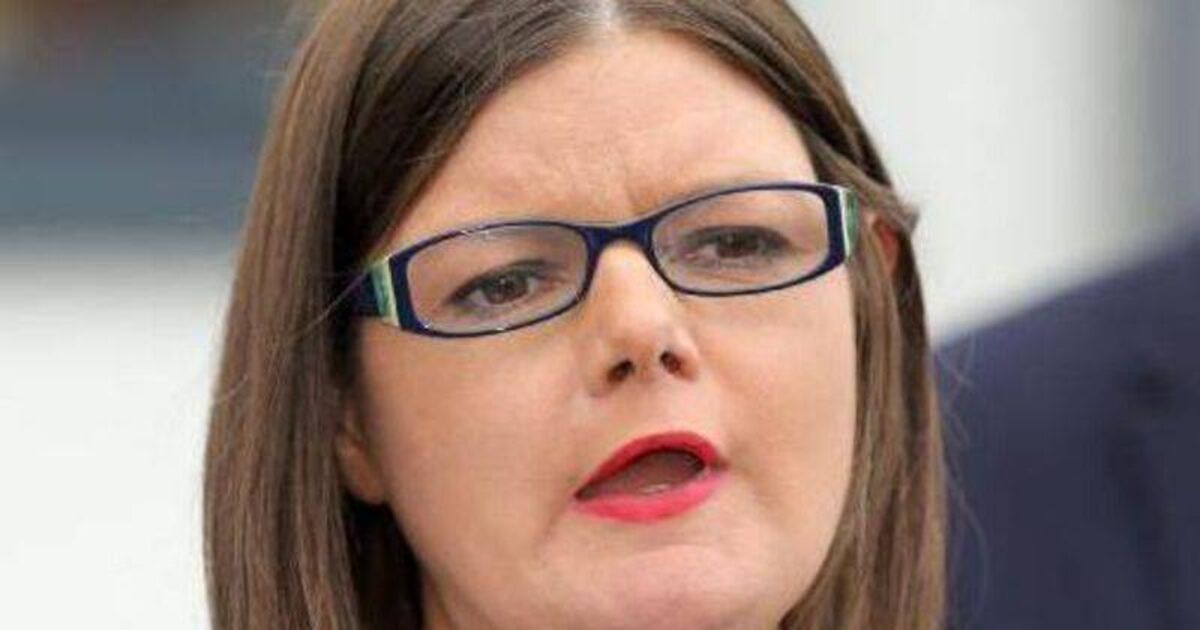 Ex-partner of Sinn Féin MEP Kathleen Funchion appeals severity of sentence on harassment charges