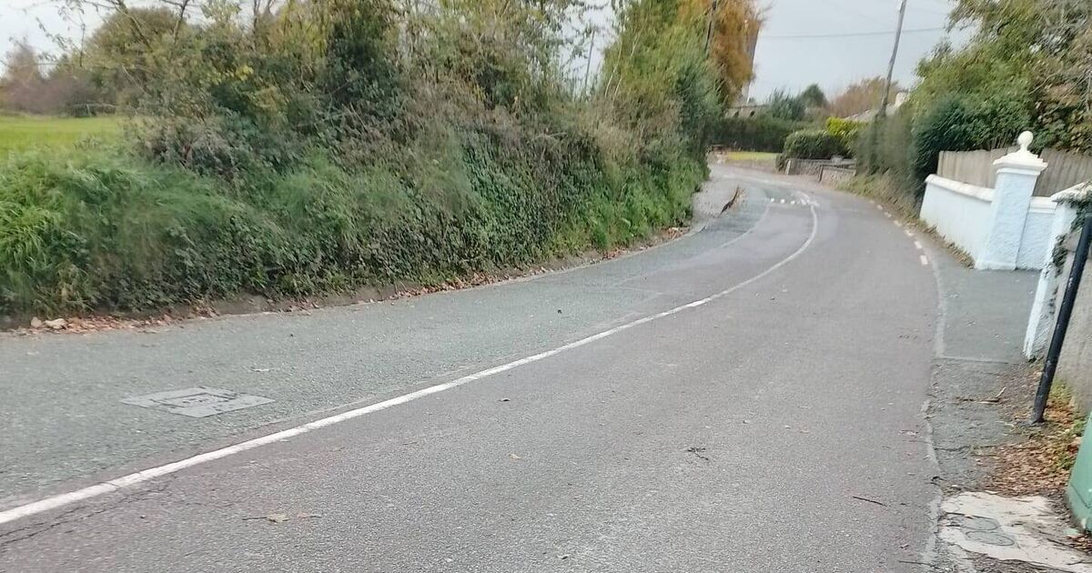 Walking to school in Cork village described as ‘frightening’