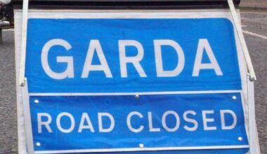 Pedestrian dies following collision involving bus on N7 motorway