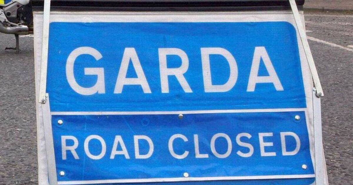 Pedestrian dies following collision involving bus on N7 motorway