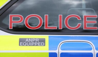 Two people arrested after attack on woman in her home