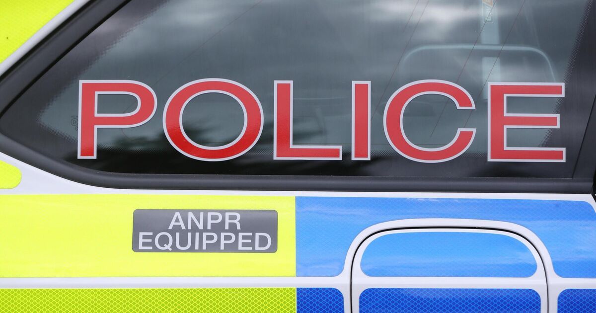 Two people arrested after attack on woman in her home