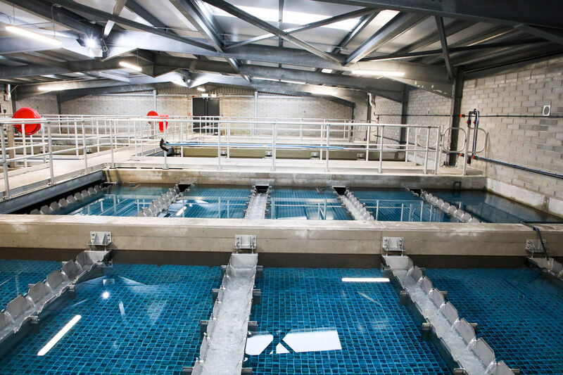 Settlement tanks at the Uisce Éireann Water Treatment Plant on the Lee Road, Cork. Friends of the Irish Environment and Cork residents are challenging the approval of Uisce Éireann’s June 2025 Remedial Action Plan. File picture: David Creedon