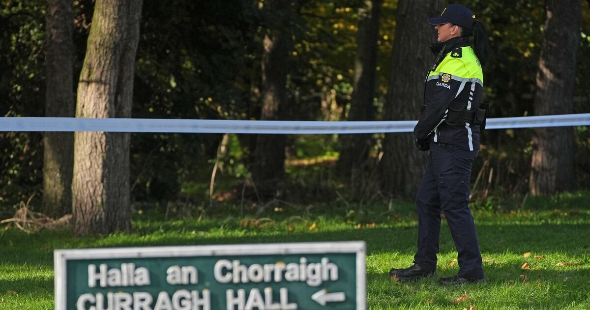 Dublin stabbing victim named as gardaí arrest man in his 20s 