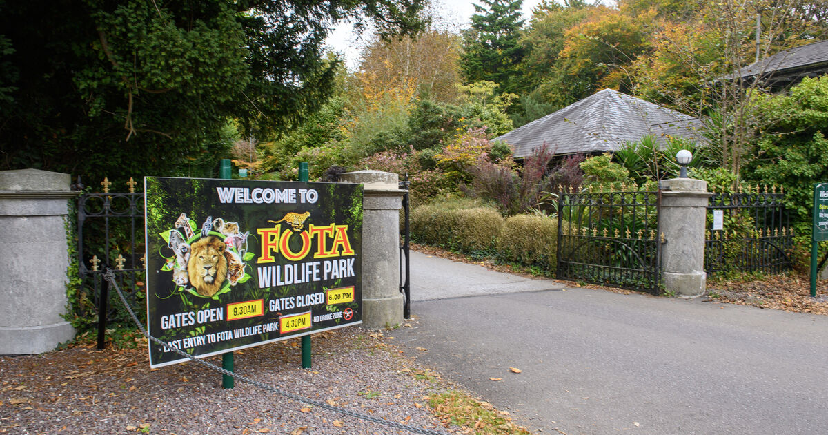 Fota to remain closed as 73 birds euthanised