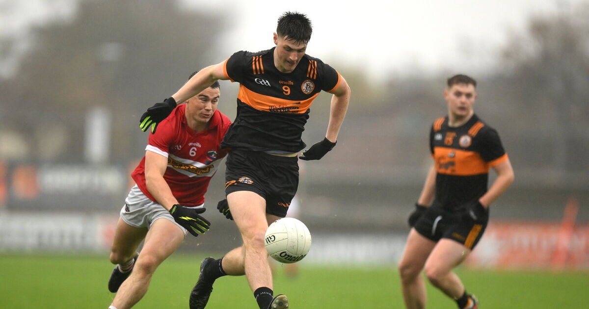 'If a young lad is doing his Leaving Cert, nobody should be ringing him'