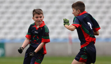 Beaumont, Gaelscoil Uí Drisceoil, Ballinora, and Inchigeelagh claim wins