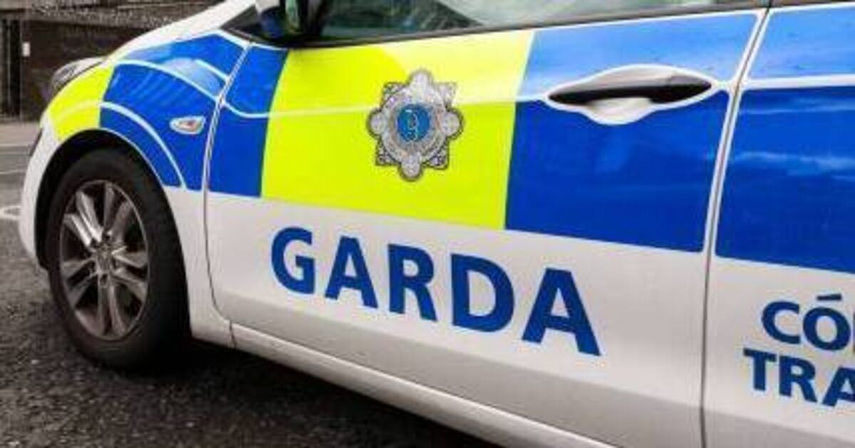 Guns, ammo, explosives found in house in Cork city suburb