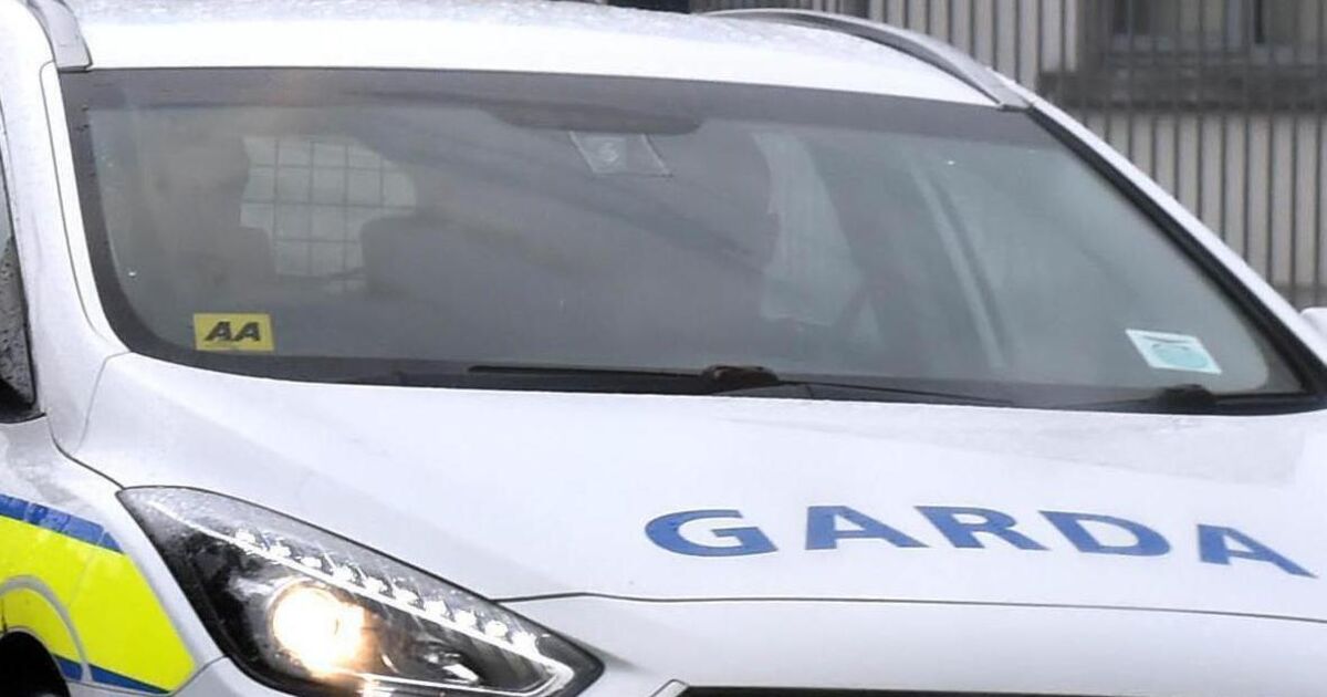 Special Detective Unit in Cork to help investigation into Douglas gun-making workshop 