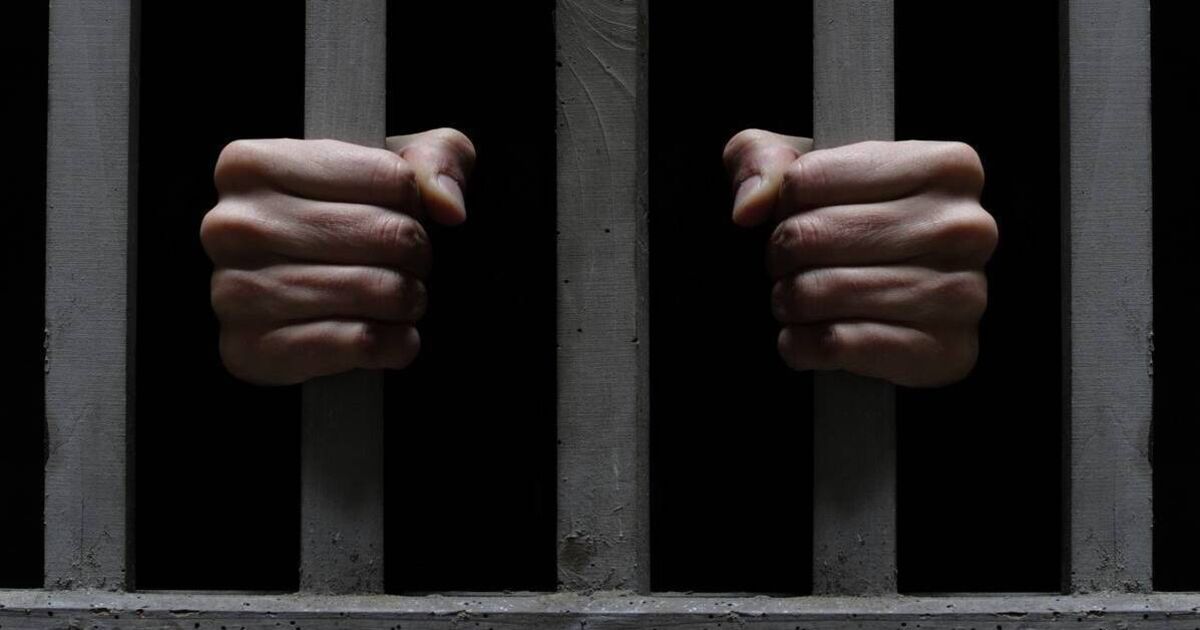 Man jailed for 'despicable' attack on 82-year-old Cork woman