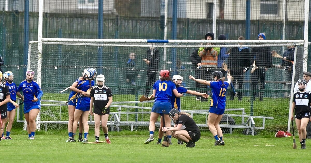 St Finbarr's taken to extra, extra time before reaching Munster camogie final