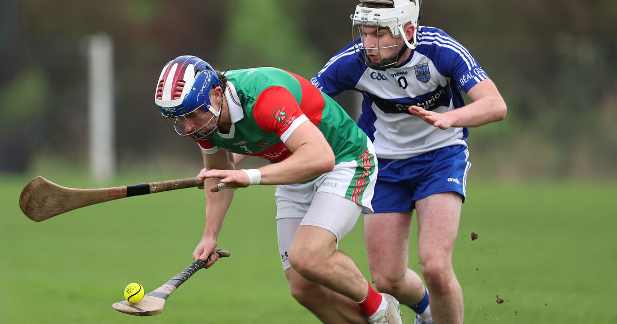 Ballinora hurlers outgun Belgooly to move into Junior A semi-final