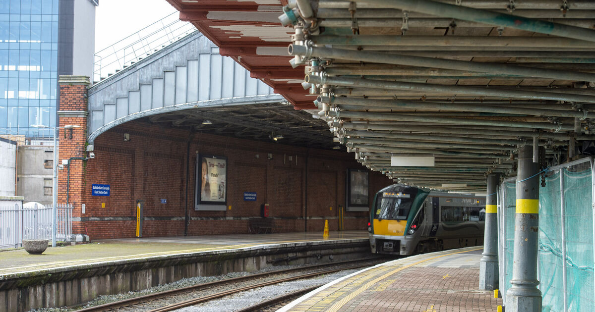 Homeless man thrown down stairs was unconscious before head was stamped on