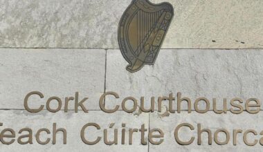 Bus driver tells Cork murder trial that bus passenger reminded him of  'Super Mario'