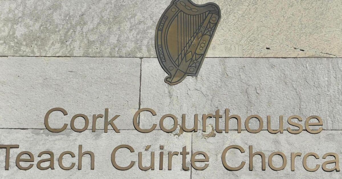 Bus driver tells Cork murder trial that bus passenger reminded him of  'Super Mario'