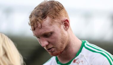 Adrian Mullen set to miss remainder of Ballyhale Shamrocks’s Leinster SHC club campaign