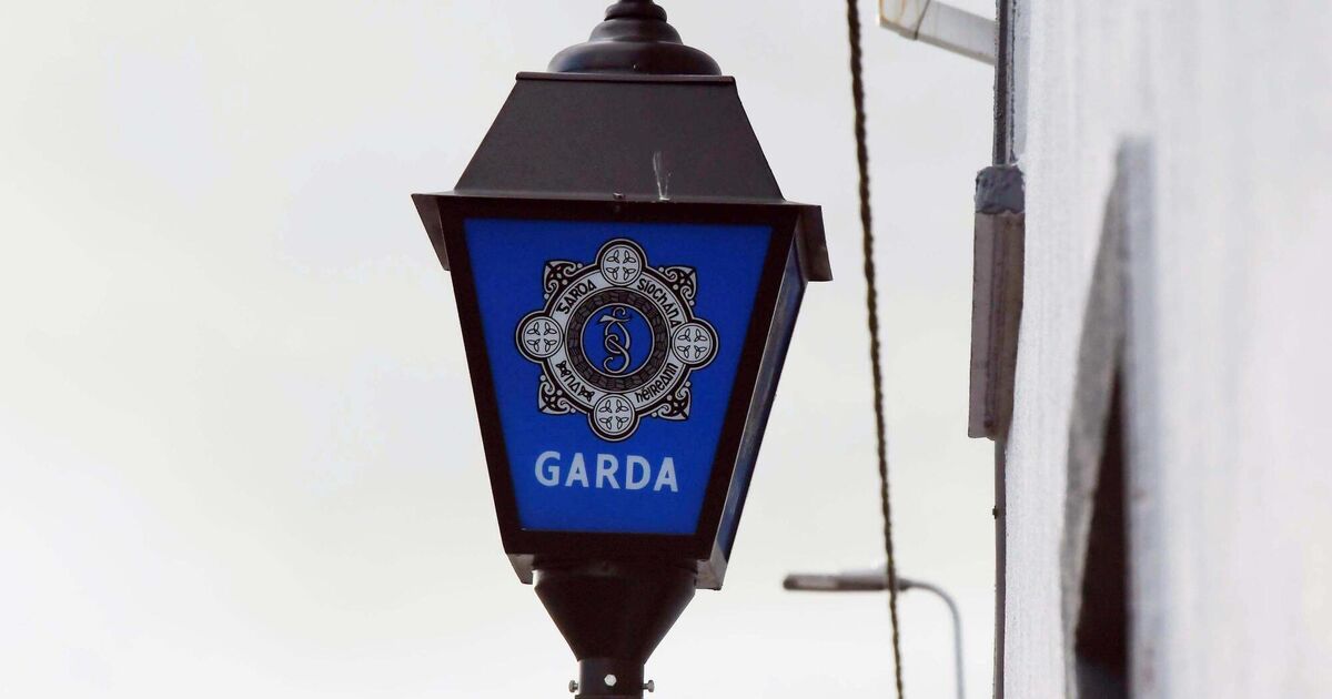 Ombudsman investigating as woman dies in Cork road incident after exiting Garda car