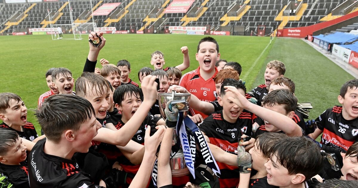 Sciath wins for Anthony's, Berrings, Blarney and Douglas GS