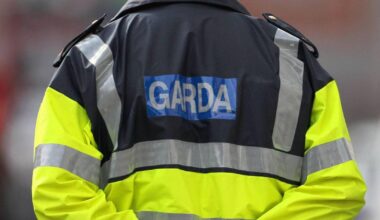 Garda says baton strike on ex-officer was ‘proportionate and justified’ after 140km/h pursuit