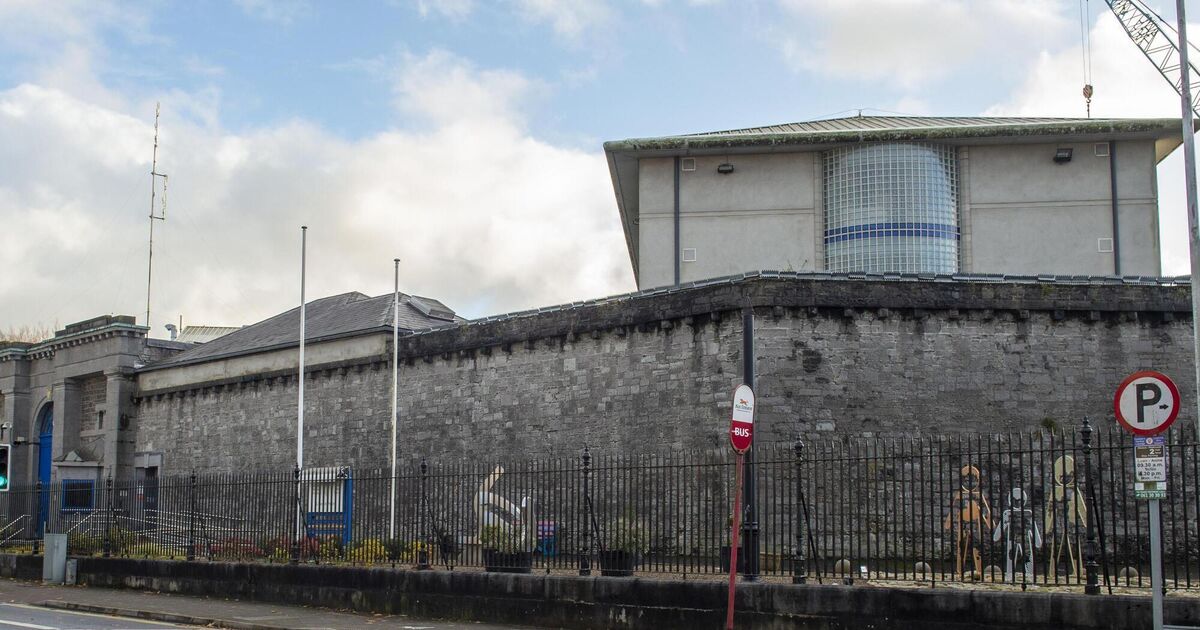Manhunt underway after violent prisoner escapes during Limerick hospital escort