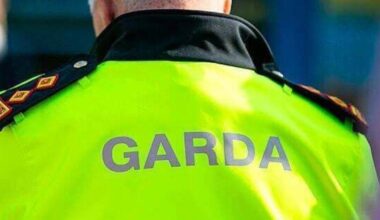Man arrested after fatal stabbing in Hollyhill; Gardaí appeal for witnesses