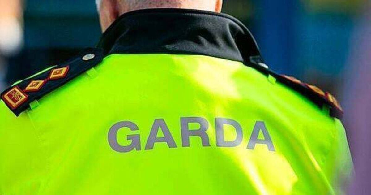 Man arrested after fatal stabbing in Hollyhill; Gardaí appeal for witnesses
