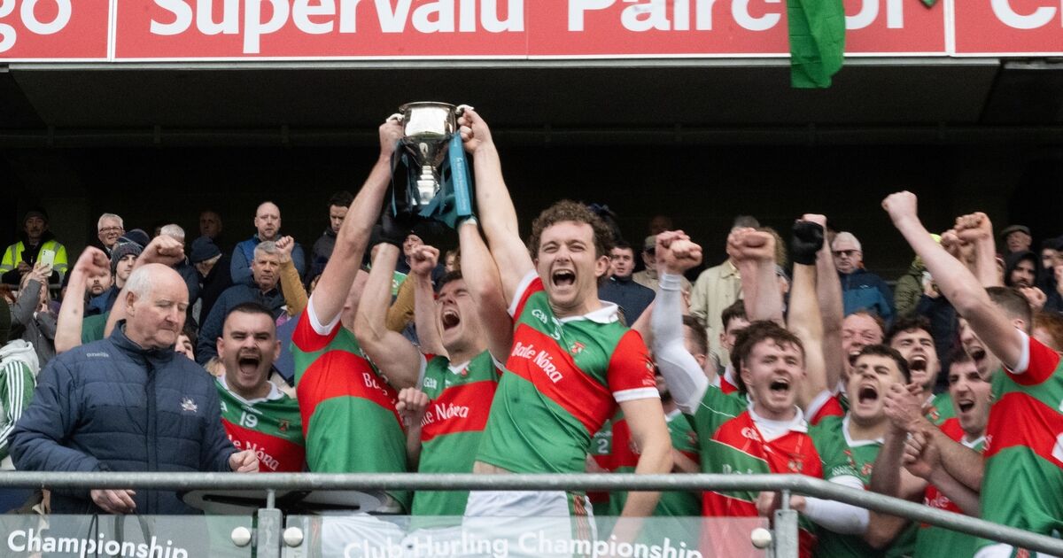 Ballinora are history-makers after late Kevin Werner goal seals IAFC title after an epic with Ilen Rovers