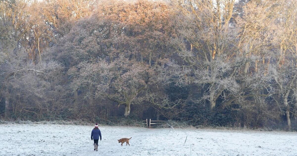 Ireland braces for freezing week ahead with wintry showers and widespread frost