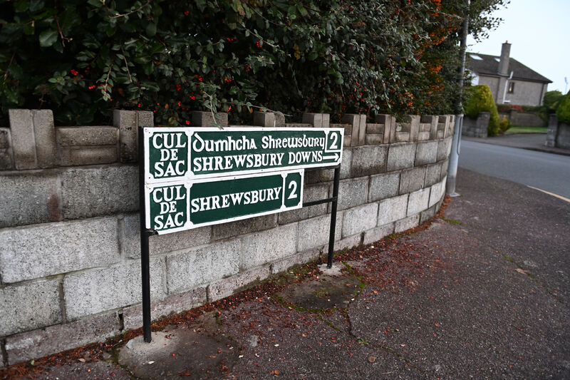 A Whatsapp message circulated warning people in Shrewsbury Downs, Ballinlough, Cork, to stay indoors and lock their doors when the nature of the incident became apparent. Picture: Larry Cummins