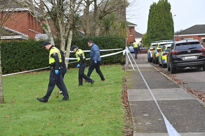 Gardaí conducting an inch-by-inch search of the green at Shrewsbury Downs in Ballinlough, Cork, following the incident that left 59-year-old Stella Gallagher dead and her husband seriously injured. Picture: Dan Linehan