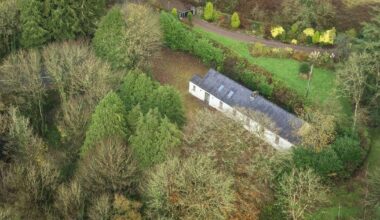 Old Schoolhouse in Cork promises space, character, and a chance for a restoration project