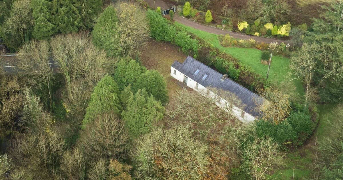 Old Schoolhouse in Cork promises space, character, and a chance for a restoration project