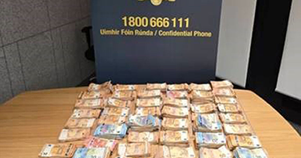 Over €1.36m seized as gardaí help expose billion-dollar Russia-linked laundering ring