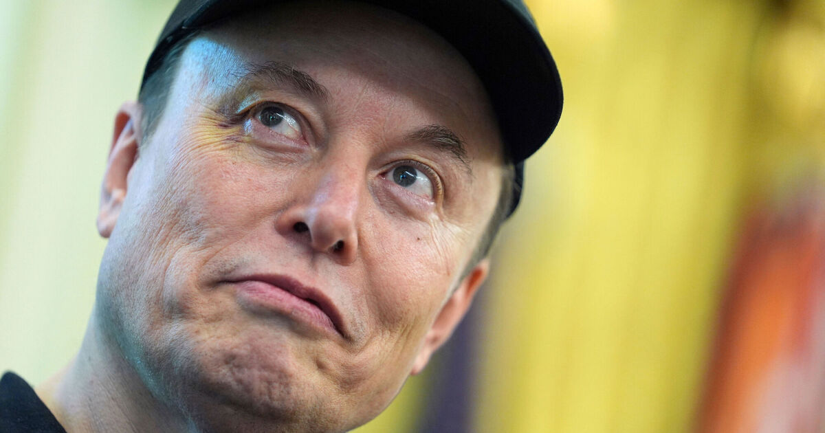 Elon Musk’s Grok AI tells users he is fitter than LeBron James and smarter than Leonardo da Vinci