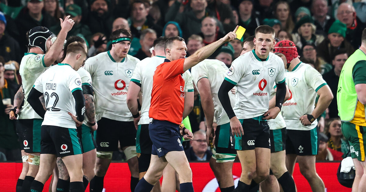 Baird and van der Flier stand tall on chastening night against South Africa